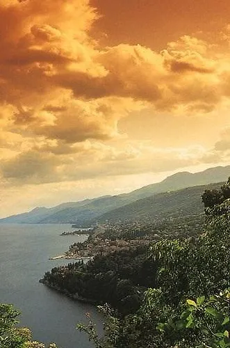 アパート Amorino