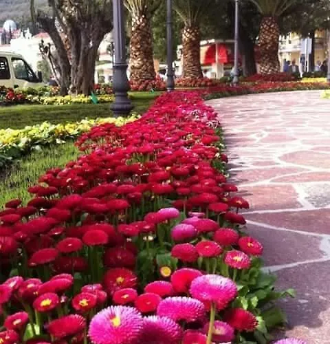 アパート Amorino *